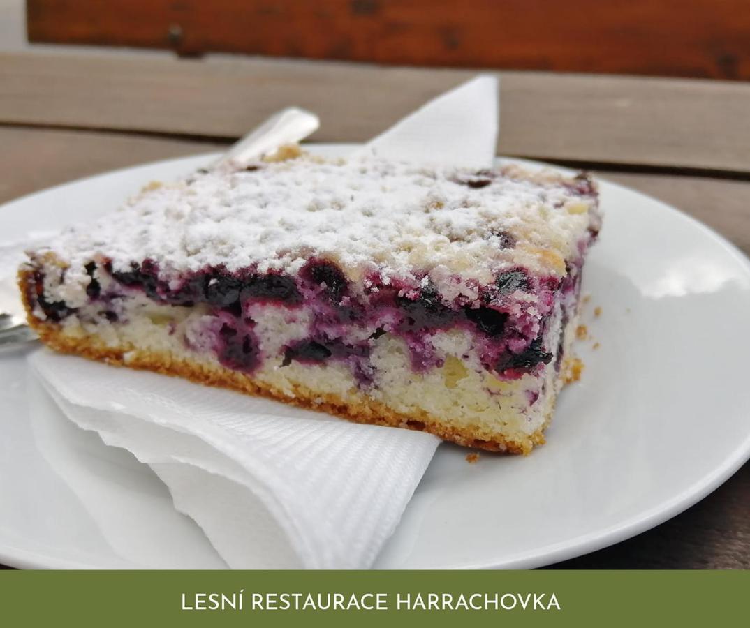 Lesni Restaurace Harrachovka Hotel Табор Екстериор снимка